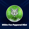 Buy White Fox Peppered Mint 16 mg Nicotine Pouches in UAE – Fast Delivery