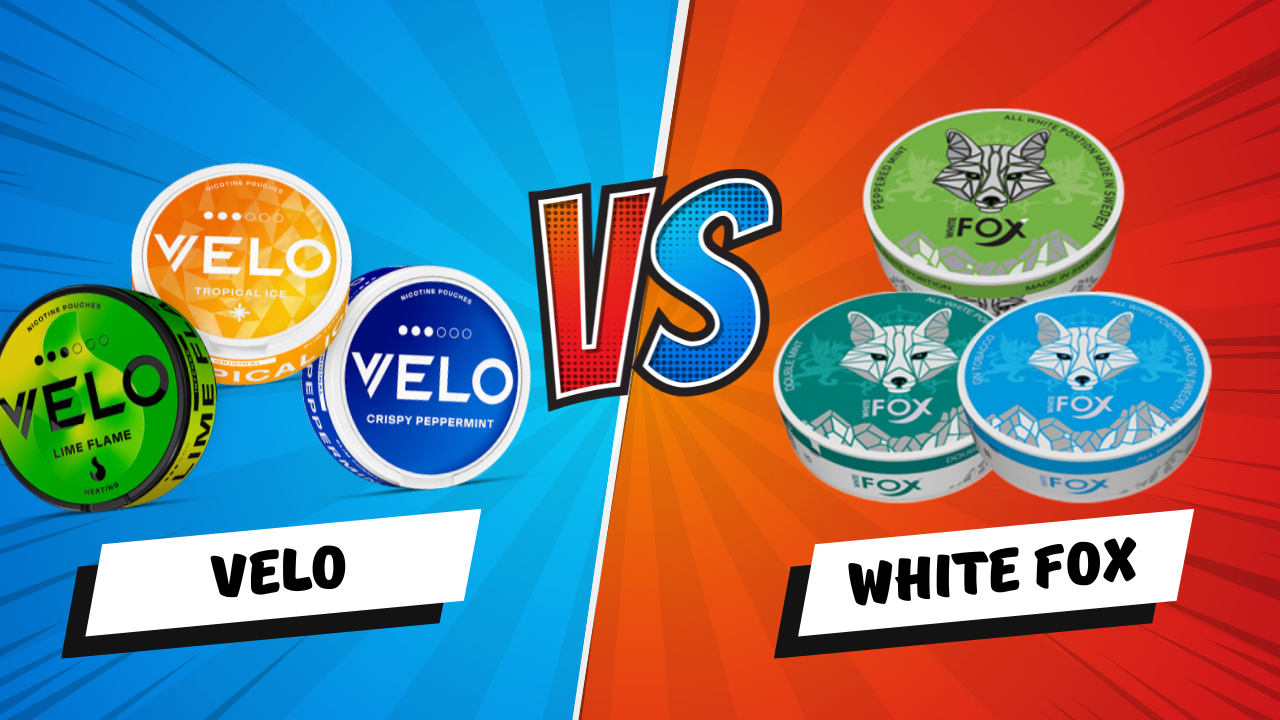 White Fox vs. VELO Which Nicotine Pouch Delivers a Stronger Kick