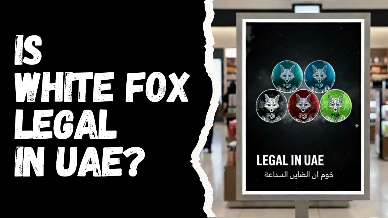 Are White Fox Nicotine Pouches Legal in the UAE?